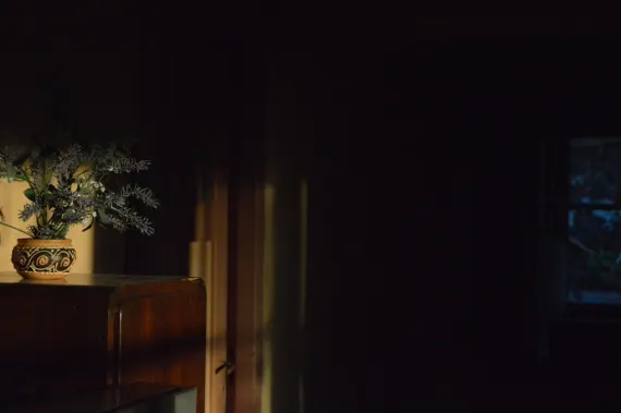 Trada Kazino Atbalsts